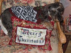 BuddyBoy Dec 2004 b.jpg